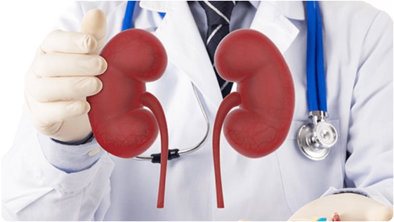 Nephrology Treatments